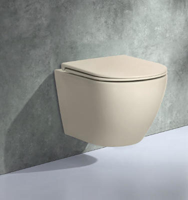 European Ceramic Rimless Washdown New Trend Taupe Color Wall Mounted Toilet Concealed Tank