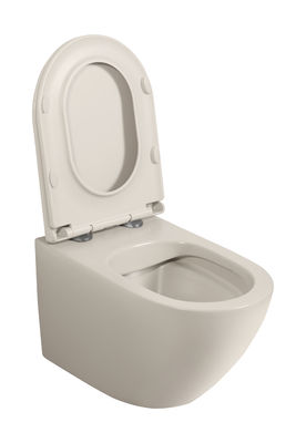 European Ceramic Rimless Washdown New Trend Taupe Color Wall Mounted Toilet Concealed Tank