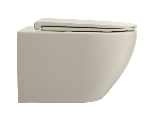 European Ceramic Rimless Washdown New Trend Taupe Color Wall Mounted Toilet Concealed Tank